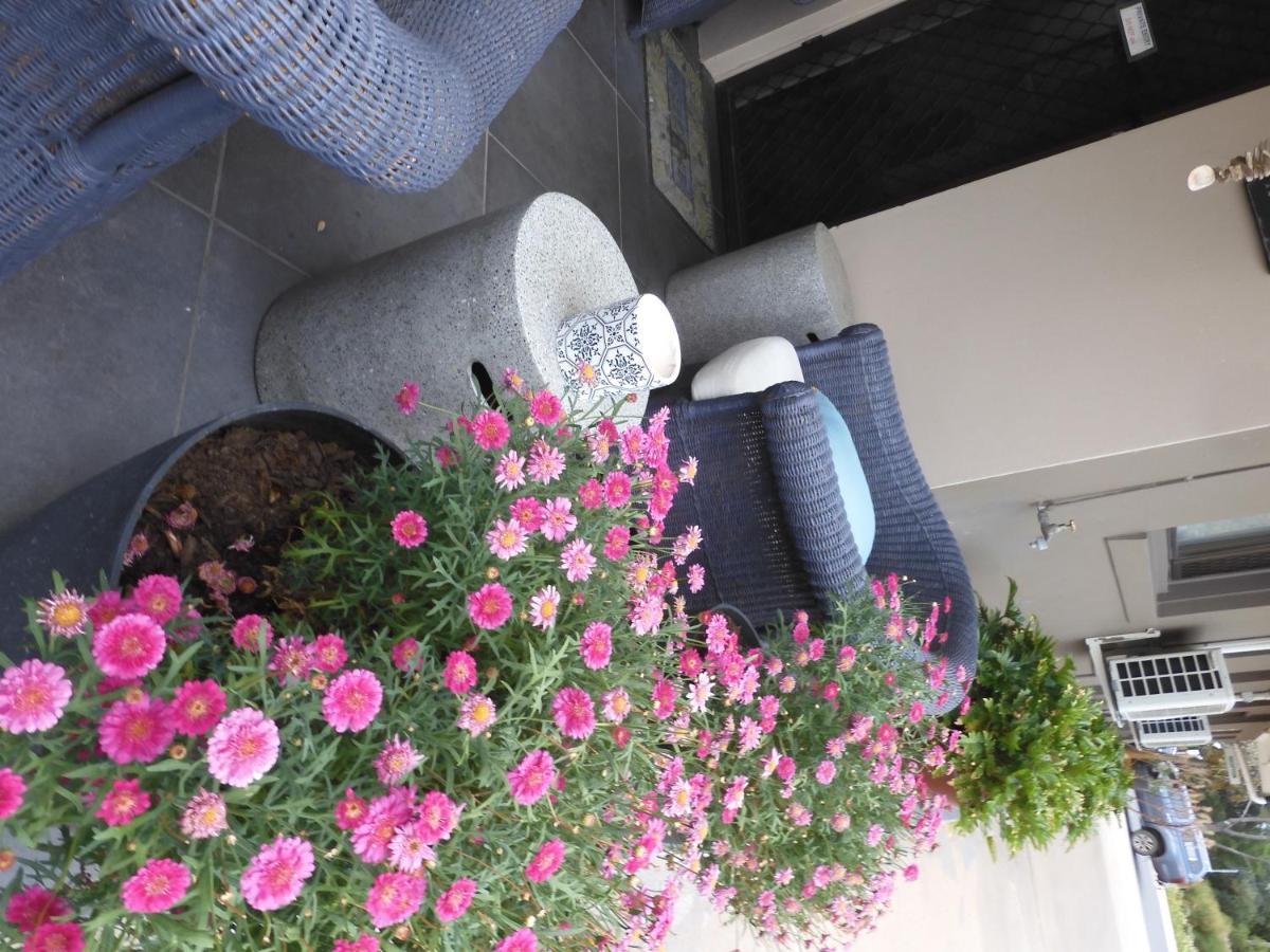 Dalby Parkview Motel Bagian luar foto